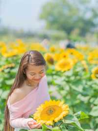 Soaking up the sunshine and the Beautiful Blooms