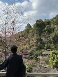 A Day Trip from Chiang Mai: Mae Kampong 
