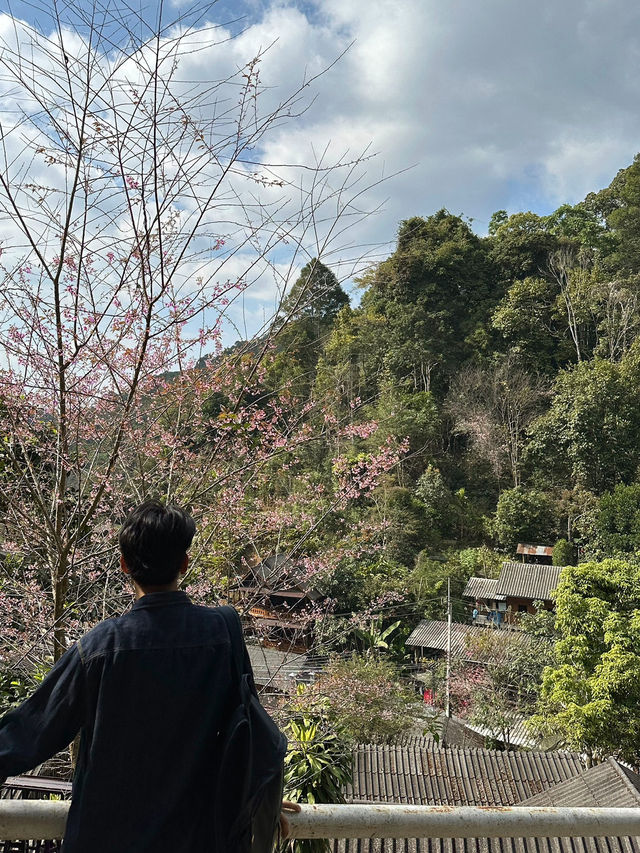 A Day Trip from Chiang Mai: Mae Kampong 