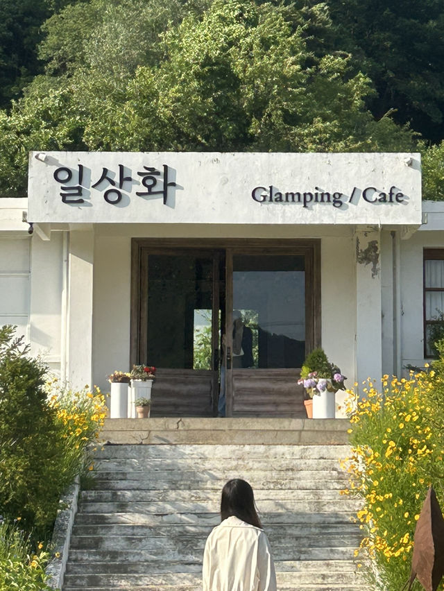 🌸 꽃 가득, 작품 가득🤍 넓고 쾌적한 보은 감성 카페