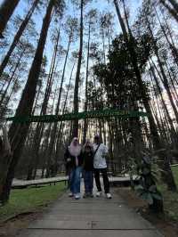 adventure jeep route to pantai timang