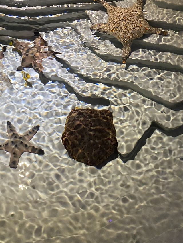 อควาเรีย ภูเก็ต (Aquaria Phuket) 
