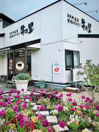 北海道🇯🇵 來白老町沒吃白老牛會被笑🤭
