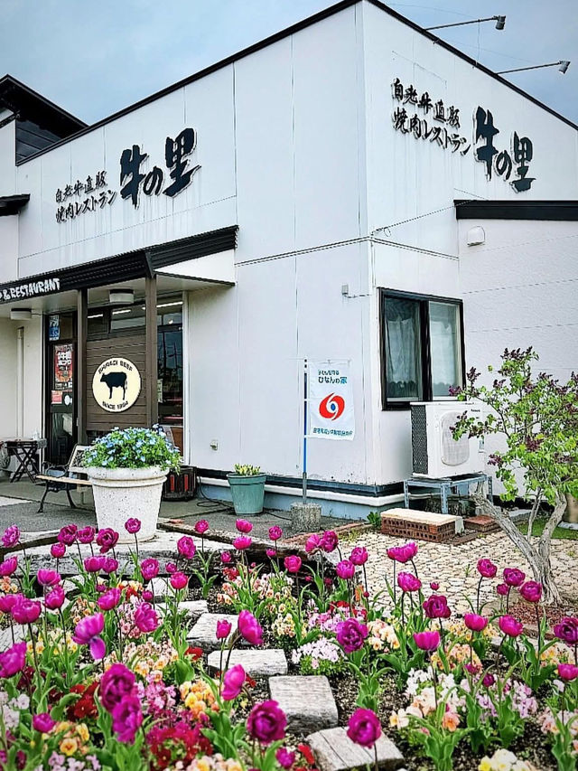 北海道🇯🇵 來白老町沒吃白老牛會被笑🤭
