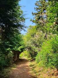 Easy Wandering on Dalma Mountain’s Ancient Road