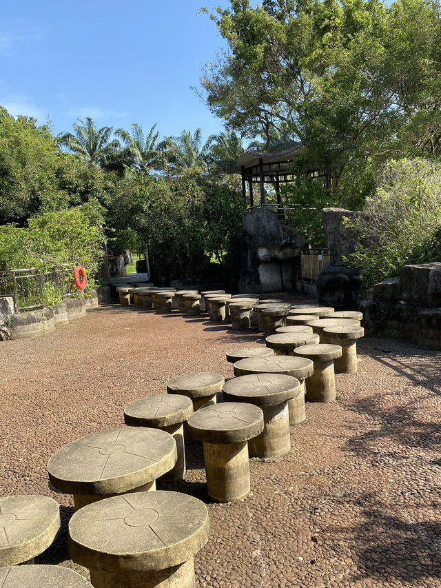 想不到深圳中山公園是這麼吸引的！！