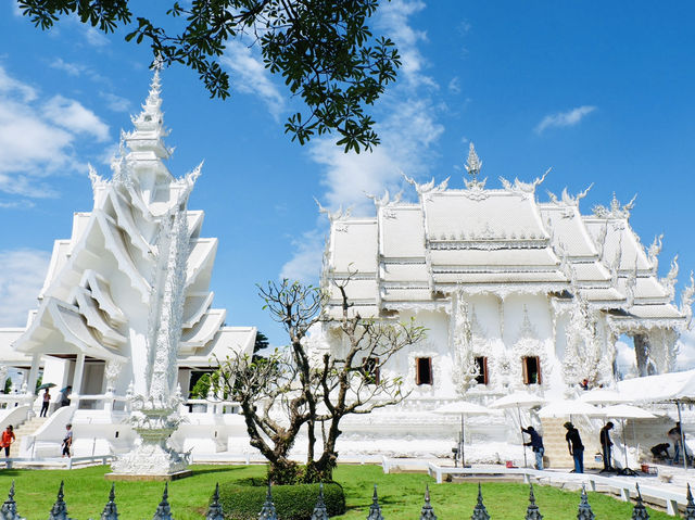 วัดร่องขุน เชียงราย 