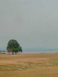 คนึงนิจ | อุบลราชธานี