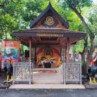 วัดโพธิ์บางคล้า