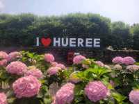 Relaxing Jeju trip with family