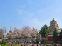 🇨🇳 เจดีย์ห่านป่าใหญ่ (Giant Wild Goose Pagoda)