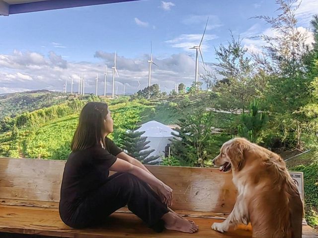 🌈ไร่ทวินวิว เขาค้อ⛈️🌲🌲🌲