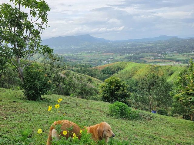 🌈ไร่ทวินวิว เขาค้อ⛈️🌲🌲🌲