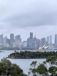 🐾【Taronga Zoo Sydney 攻略｜港景第一排的動物園】🦒🌿