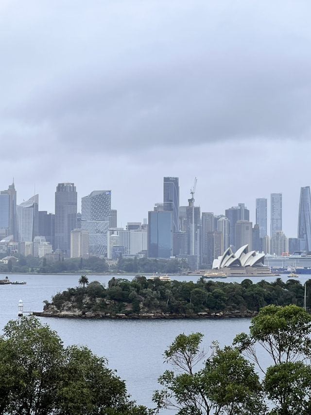 🐾【Taronga Zoo Sydney 攻略｜港景第一排的動物園】🦒🌿
