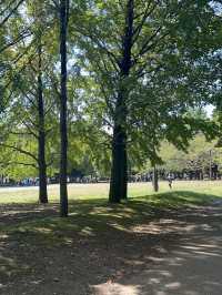 🍃【東京・清澄公園＆庭園（清澄庭園）】下町に息づく自然と歴史、静かな四季の贅沢パークステイ