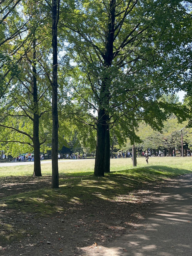 🍃【東京・清澄公園＆庭園（清澄庭園）】下町に息づく自然と歴史、静かな四季の贅沢パークステイ