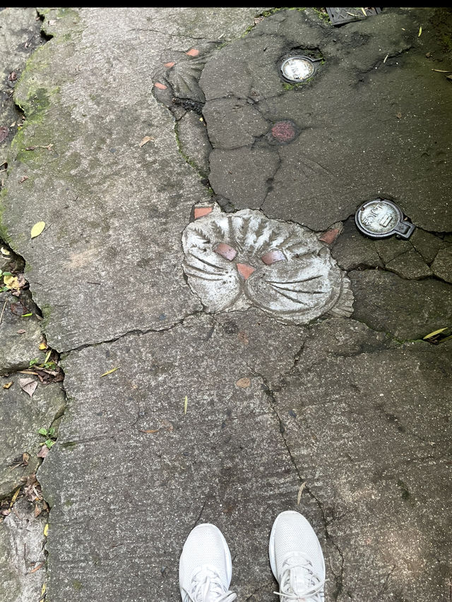 轉角遇到貓-在尾道貓咪小徑與貓貓不期而遇