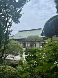  🌿【鎌倉・報国寺】竹林に包まれる静寂の時間、美しき“禅”の世界へ 