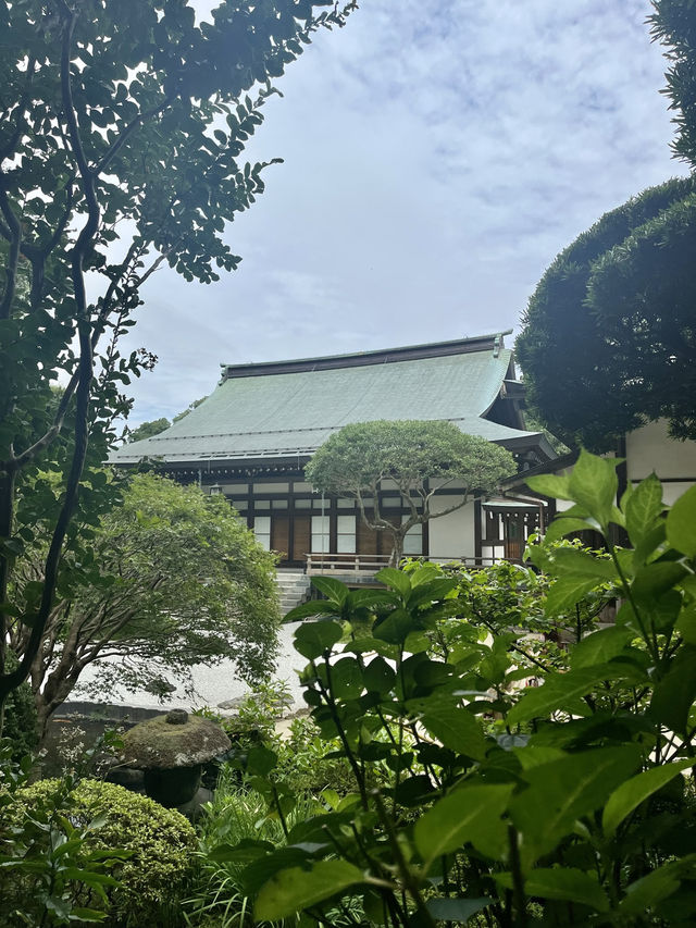  🌿【鎌倉・報国寺】竹林に包まれる静寂の時間、美しき“禅”の世界へ 