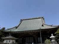 花開見佛-銚子妙福寺與來自京都的臥龍の藤