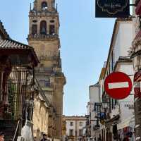 Drawn by a Bridge: Unveiling Cordoba's Moorish Legacy! 🌉🇪🇸
