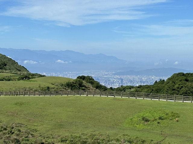 擎天崗天氣晴