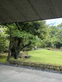 A Serene Harmony of Art & Nature — My Visit to Nezu Museum, Tokyo