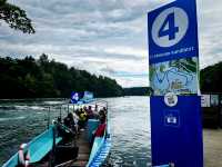 Rhine Falls in Summer – Nature’s Power and Beauty in Full Flow