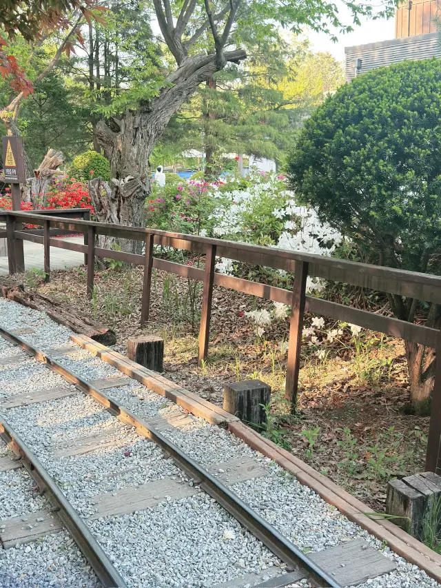 南怡島，光是走路就能得到慰藉的島嶼