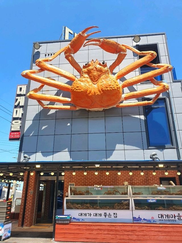 대게와 오션뷰를 모두 즐길 수 있는 맛집🌊