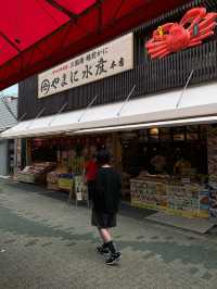 【福井🇯🇵】日本が誇る断崖絶壁へ。