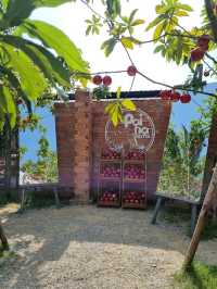 PAINA NARA