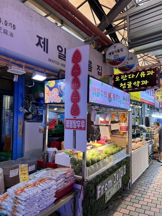 제주도 여행 2일차🌴🌊