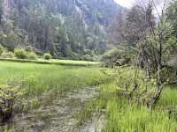  🌈 Jiuzhaigou Must-Visit Tips – Nature, Waterfalls & What to Skip