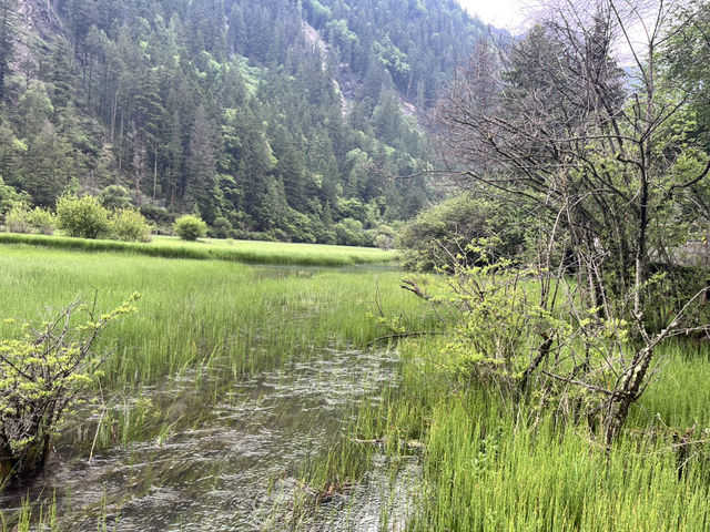  🌈 Jiuzhaigou Must-Visit Tips – Nature, Waterfalls & What to Skip