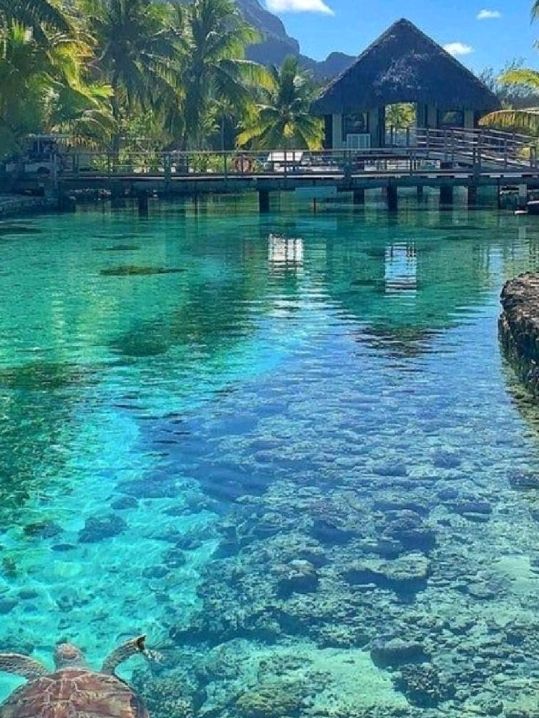 Hawaii