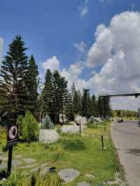 See Stars & Forest Resort อ.สว่างแดนดิน จ.สกลนคร