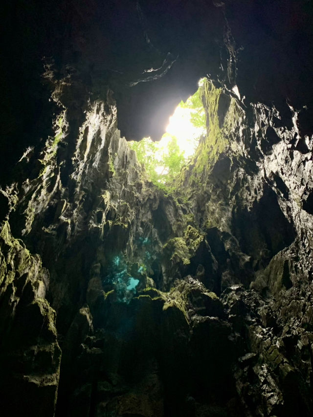 【Mulu Adventure：走进砂拉越的奇幻之境】 🌏⛰️🦇🌿