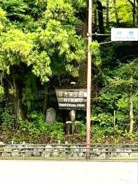 The vermillion Shinkyo Bridge, an icon of Nikko National Park