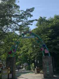【大阪🇯🇵】ウォンバットに会える無料の動物園？！
