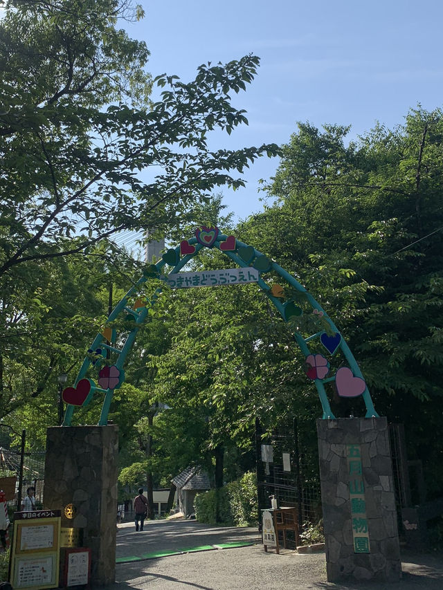 【大阪🇯🇵】ウォンバットに会える無料の動物園？！