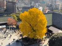 Kumamoto Castle: A Majestic Icon of Strength, History, and Resilience