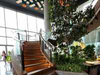 ☕️ Coffee with a View – Starbucks Reserve ICONSIAM Delivers the Wow