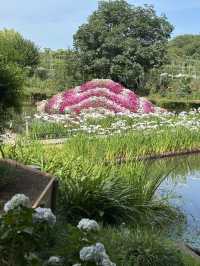 花に癒される！季節の花畑͛💠有名な観光地は？