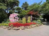 🌿 Yuantouzhu 鼋头渚 — A Peaceful Summer Escape by Taihu Lake