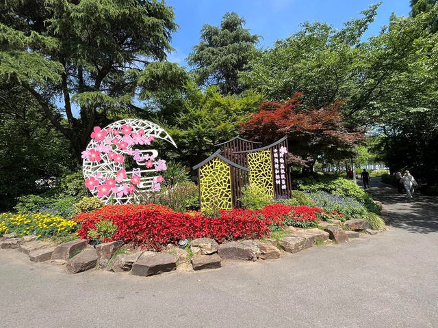 🌿 Yuantouzhu 鼋头渚 — A Peaceful Summer Escape by Taihu Lake