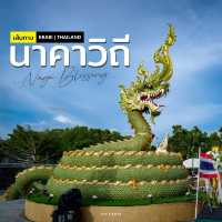 ท่องเที่ยว "ตามรอยพญานาคน้ำเค็ม" จ.กระบี่