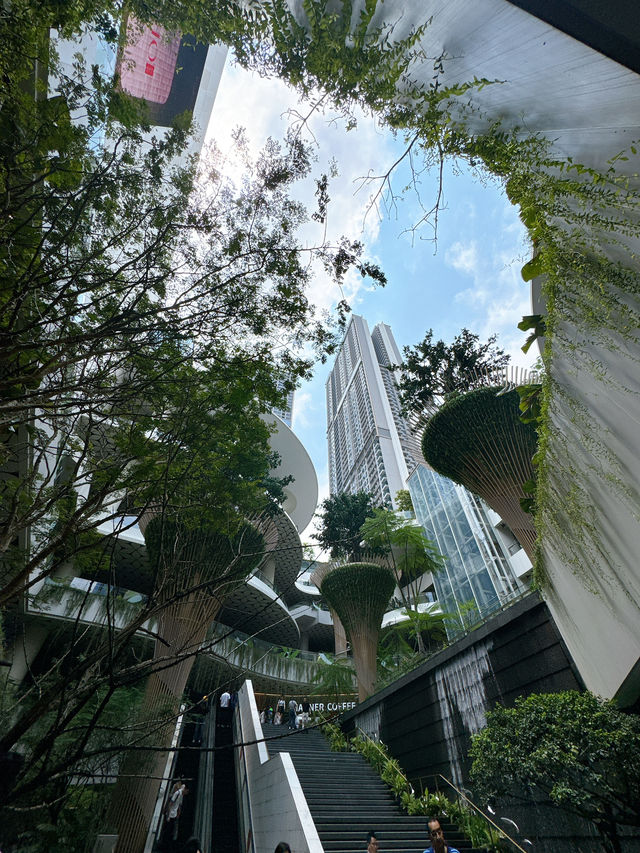 深圳閒遊推介