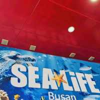 SEALIFE Busan Aquarium: An Immersive Underwater Adventure